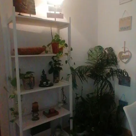 Sabor A Hogar Y Mas Apartment Cho